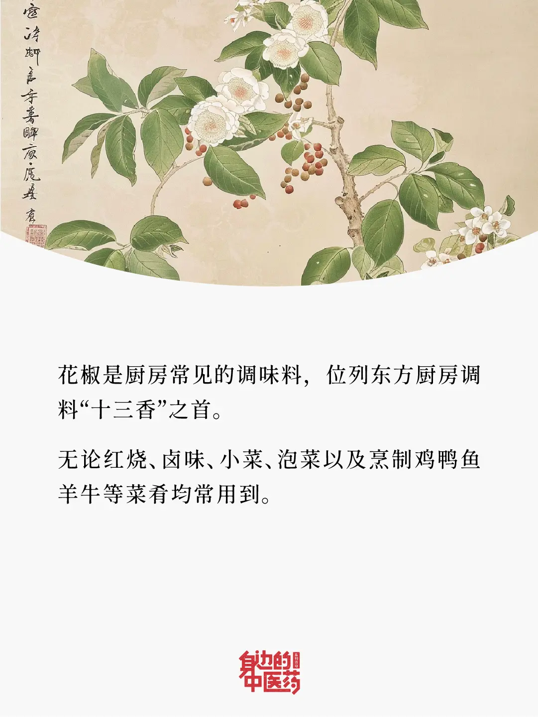 原来花椒还有这么多妙用！谁用谁夸！