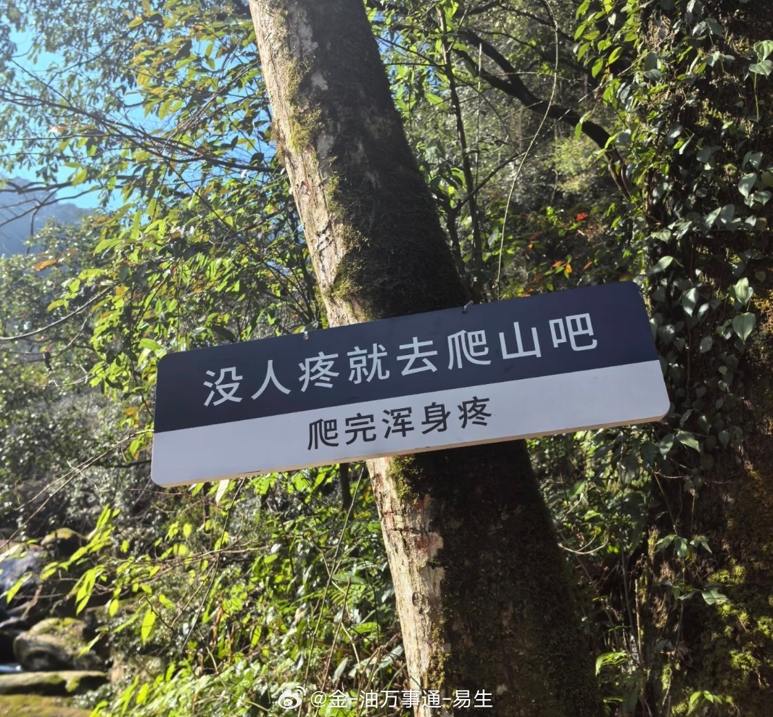 周末带小易和家人出来逛逛，看到这个路牌挺有意思，给兄弟们分享分享 
