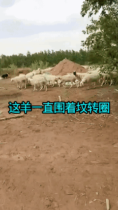 这是什么意思？[what]