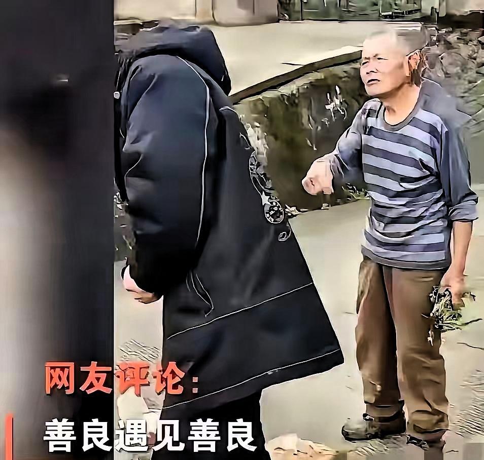 “太感人了！”重庆，一位年轻人下乡办事，不慎将一只鸡压死！可他做梦都没想到，接下