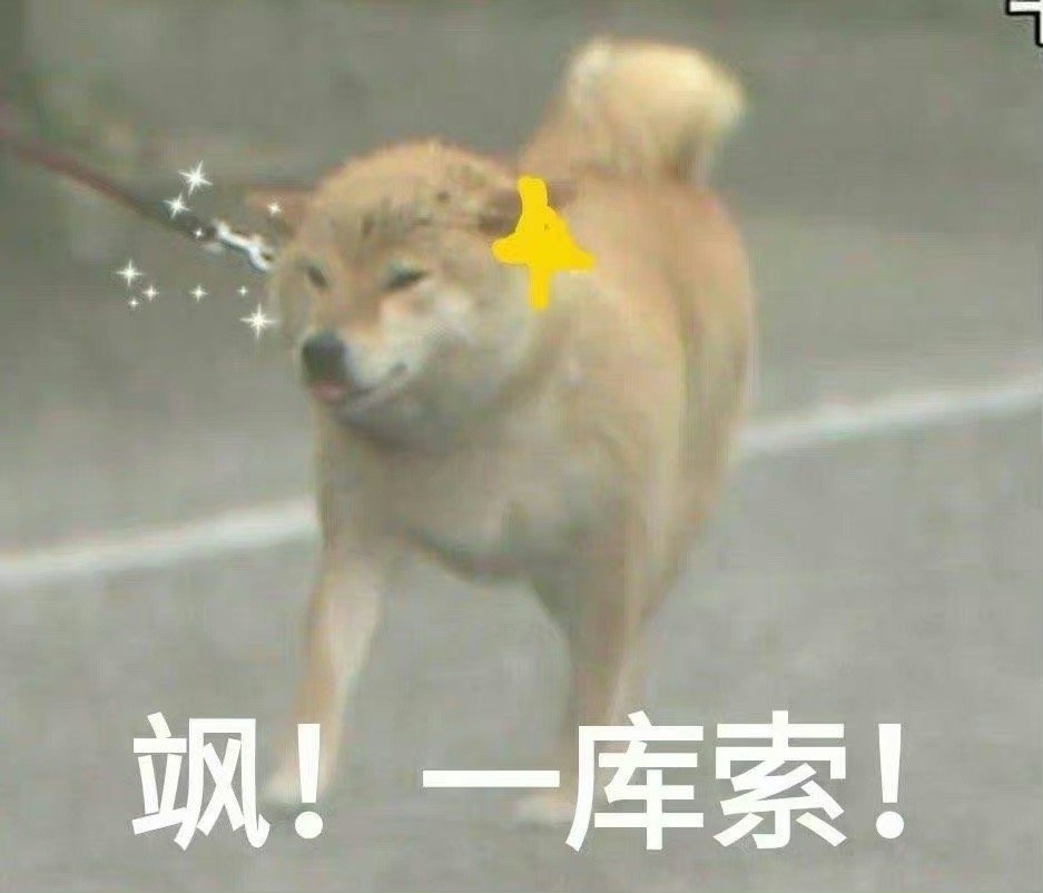 在台风天等恶劣天气的新闻报道里，百分百会出现散步的柴犬 