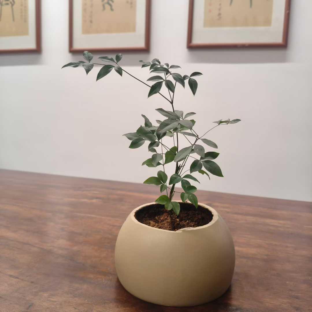 今天的风一点也不凉，走在路上，觉得一切都刚刚好……