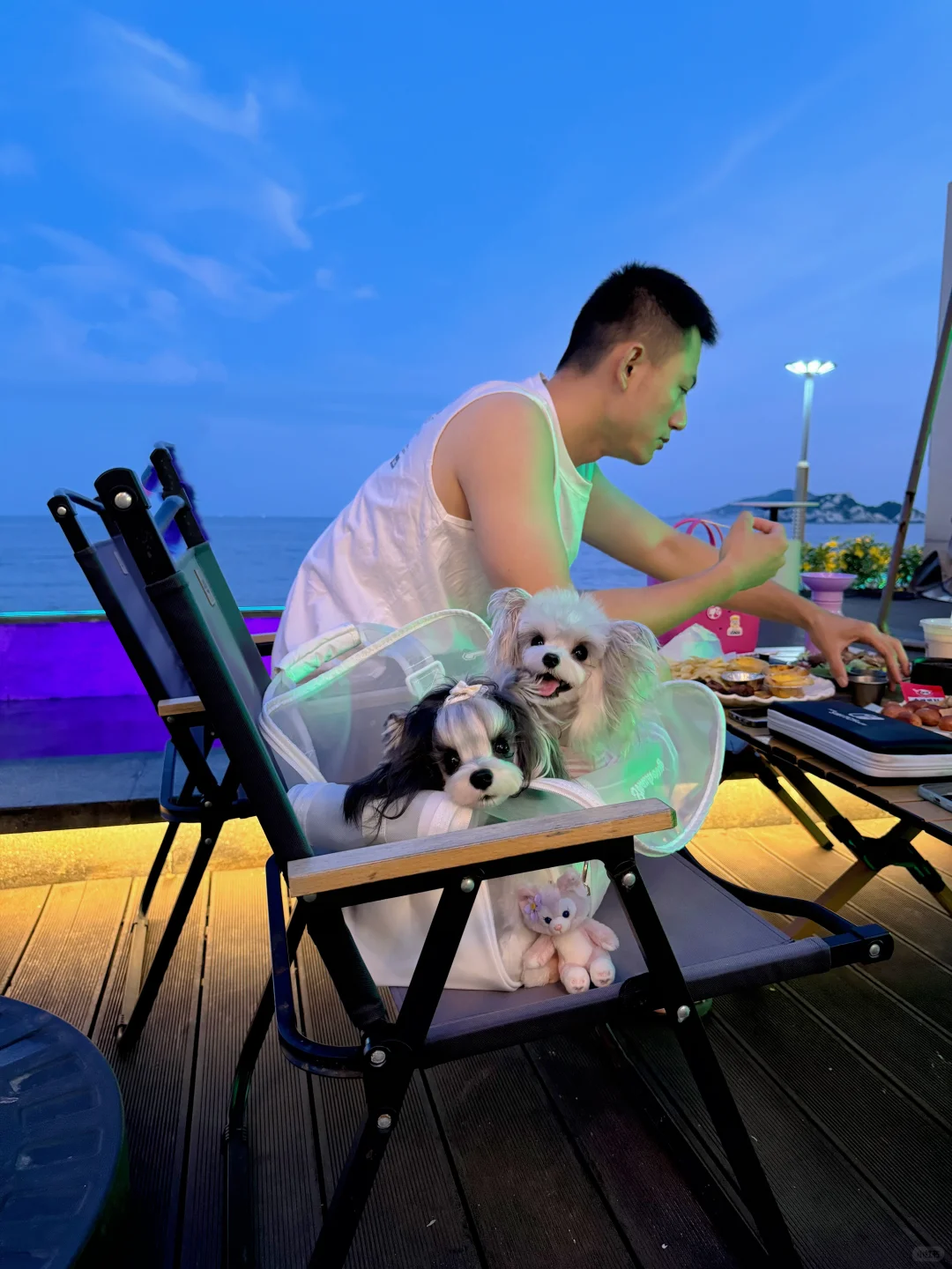 快乐小狗🧩