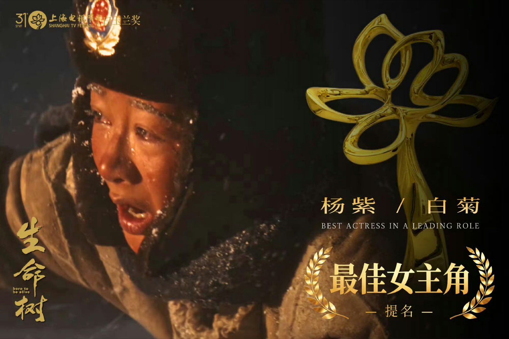 白玉兰获奖名单恭喜演员杨紫荣获白玉兰最佳女主角，四提白玉兰，连续三年提名白玉兰最