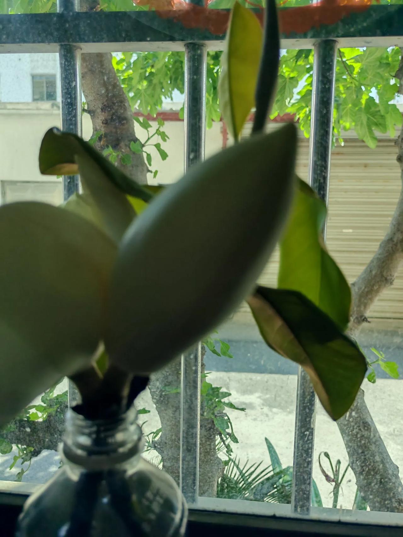 如今有个有趣的现象，身上越是缺钱的人越是不想干事，他们越想入非非，并不担心自己生