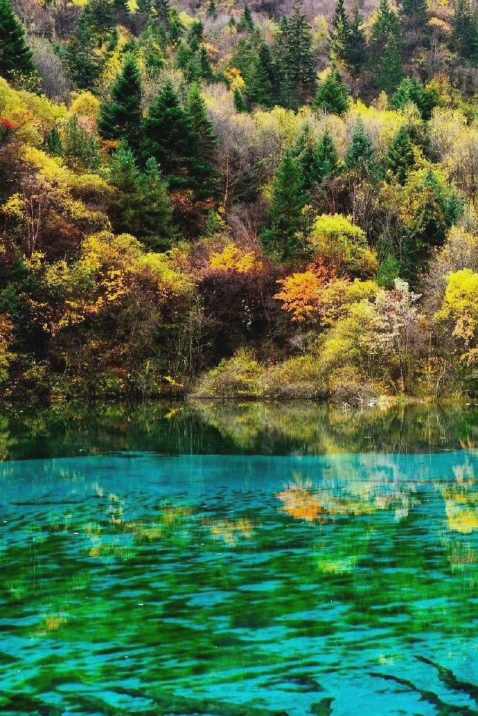 一个人心中有了那种接受最坏遭遇的准备，才能获得真正的平静。——林语堂《生活的艺术