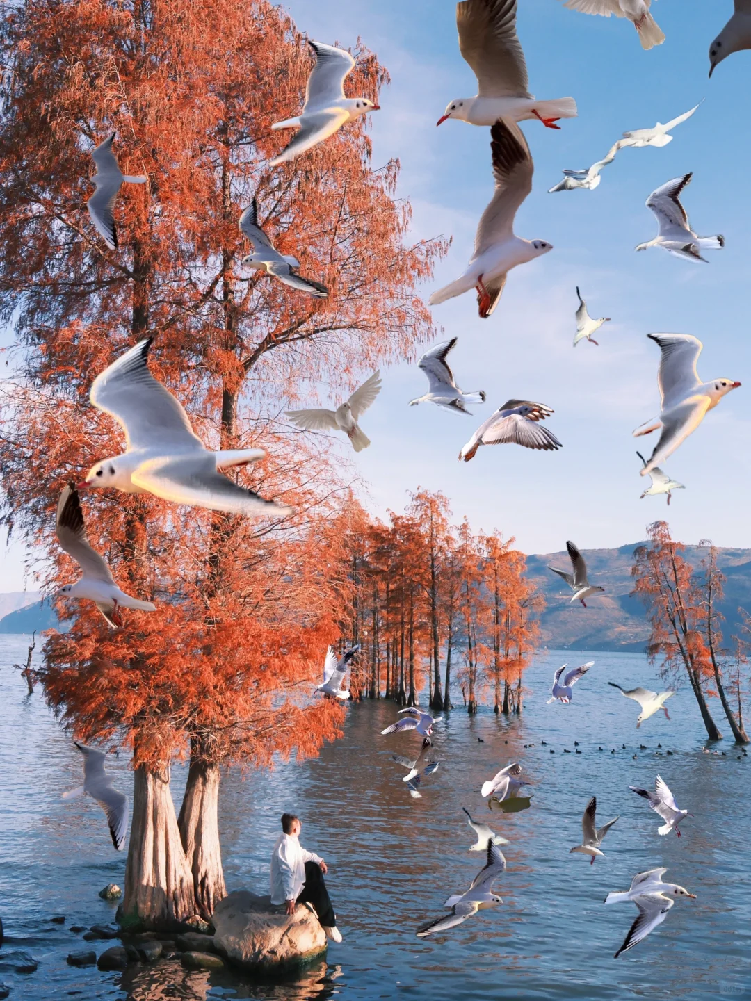 N刷大理❗️真心建议：洱海这样玩就对了❗️攻略