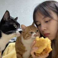 誒呀是吃一口蛋卷