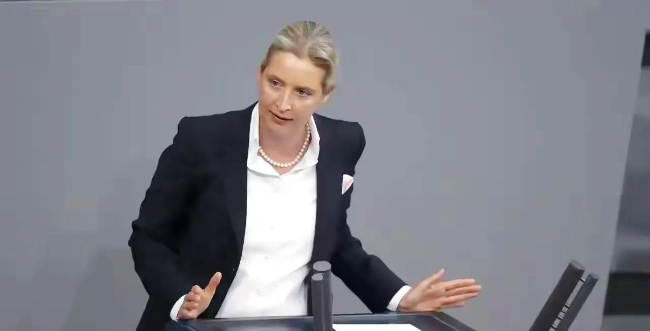 德国《图片报》今天（9月7日）报道：“出口民调显示，德国选择党（AfD）在萨克森