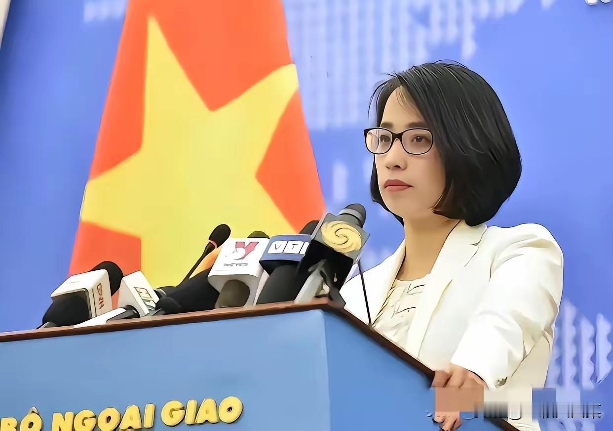 这下热闹了！太平岛一声炮响，越南第一个蹦出来叫阵——问题是，太平岛台湾驻守七十年