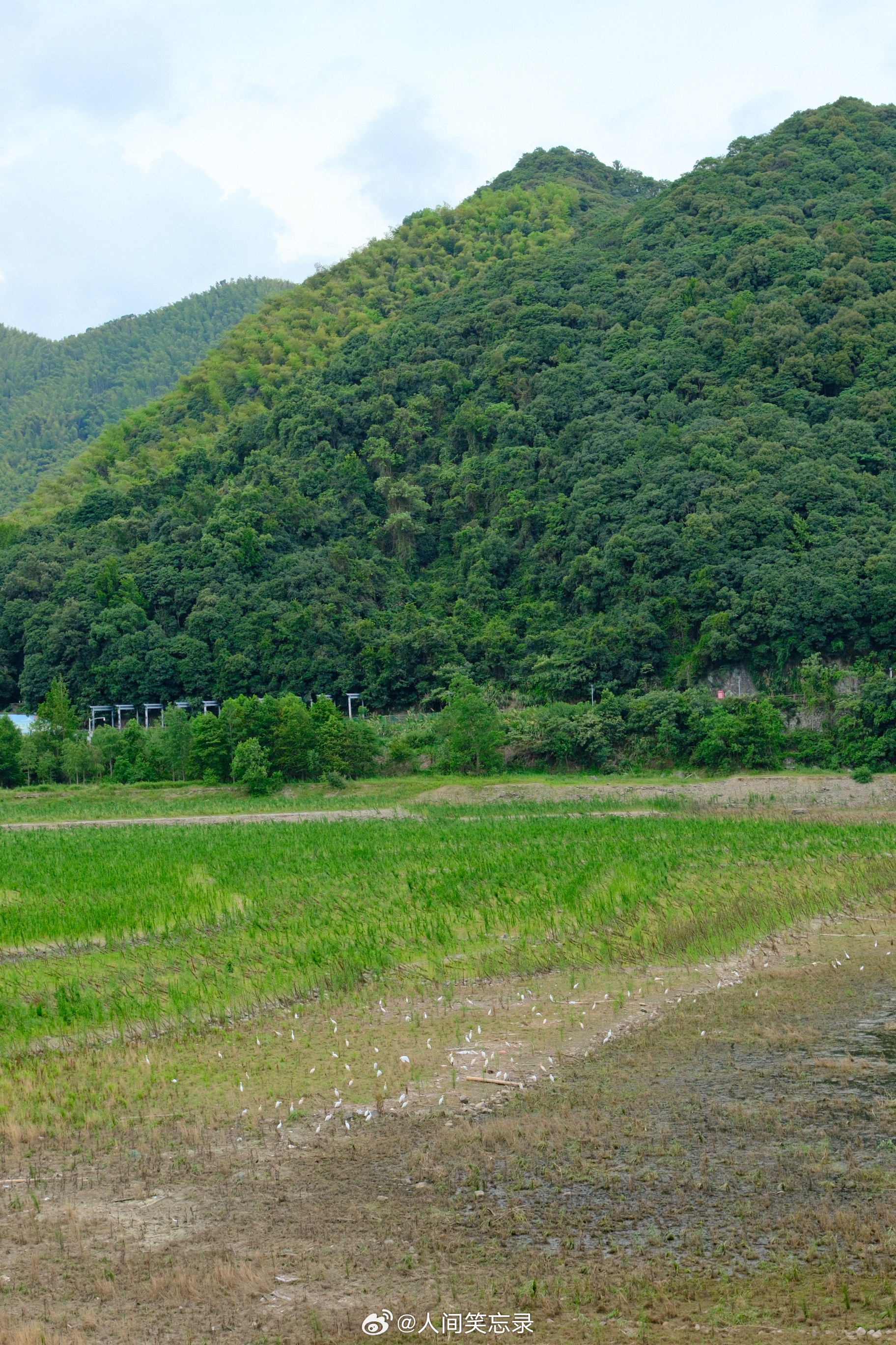 堇山湖一瞥。微风徐徐，湖光山色，白鹭临空。 宁波·堇山湖