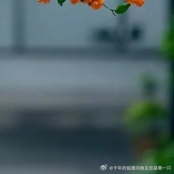 三角梅• 喜强光和温暖，用排水好的土壤。浇水要“扣水”（等叶片稍蔫再浇），促进开