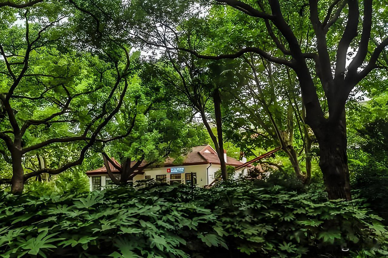 上海的复兴岛，很多人可能没去过。岛不大，从南到北走一圈也就二十来分钟。但岛上有栋