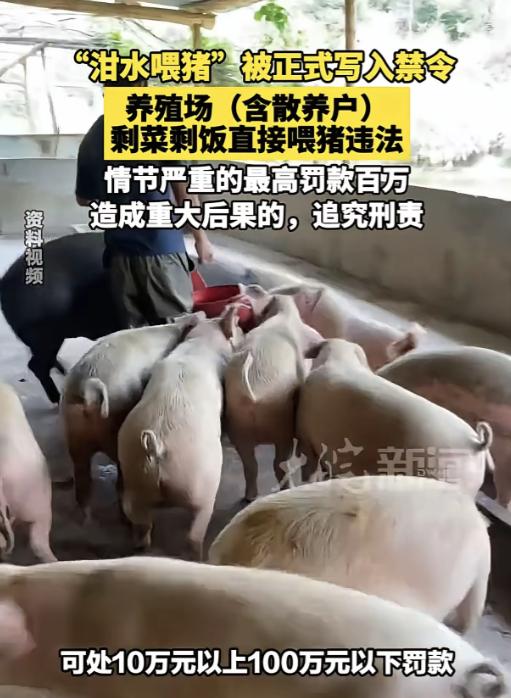 “剩菜剩饭直接喂猪违法，说实话，这样的法规真是让人费解。这样的法律法规制定出来，