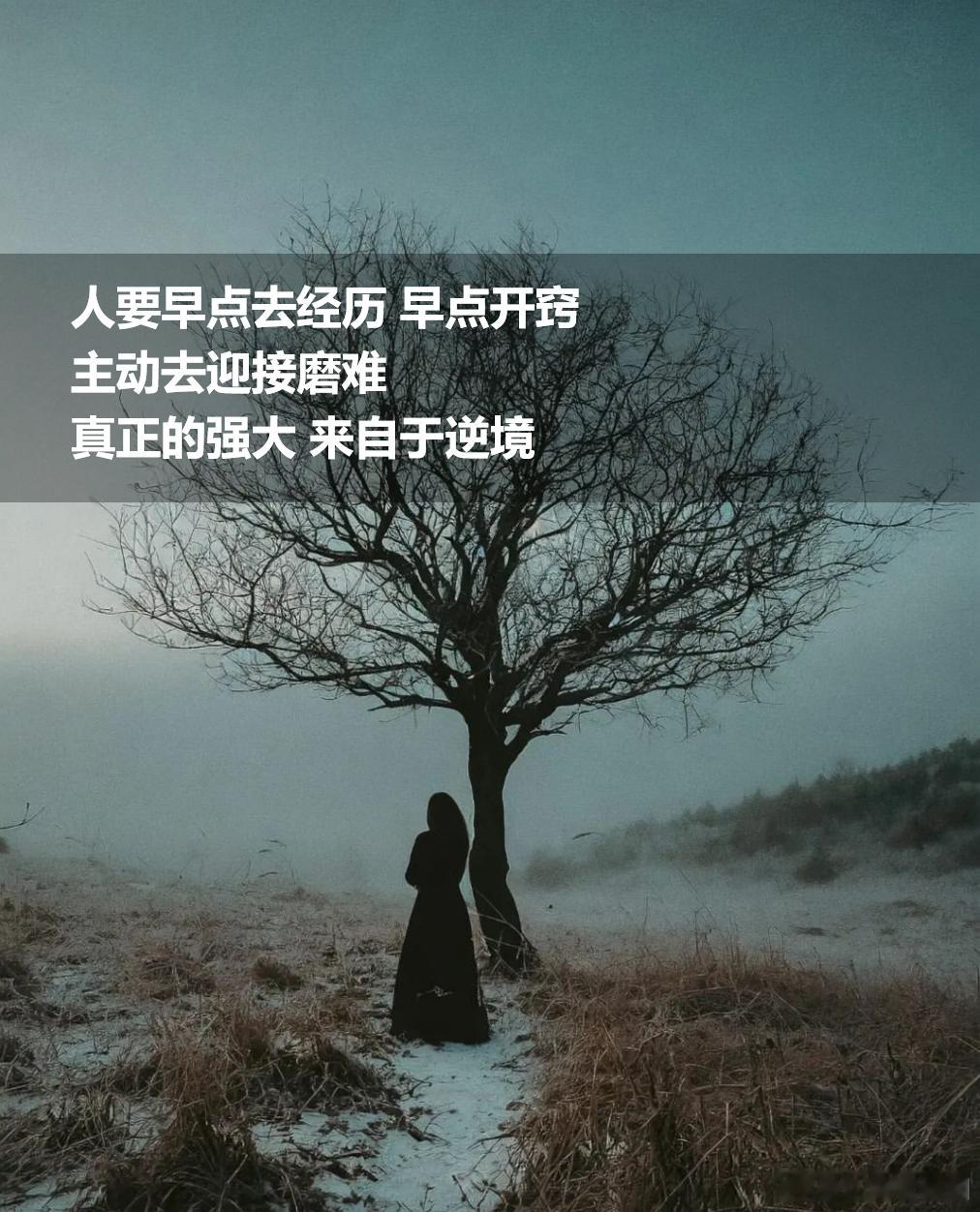 人要早点去经历，早点开窍，主动去迎接磨难，真正的强大来自于逆境。 ​​​