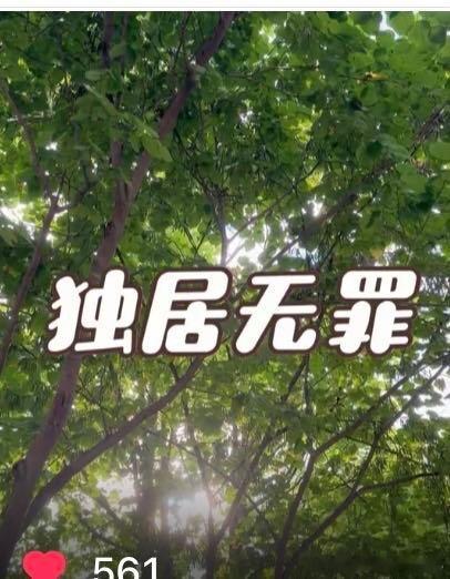 有独立人格，为自己负责，怎么成了妖魔集体主义，共生捆绑的，有独立人格代表不好被控