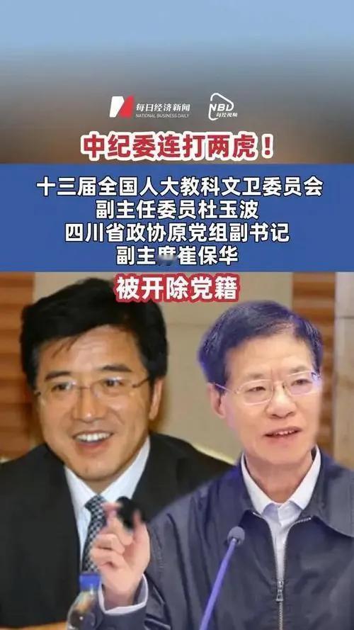 中央批准开除两“虎”党籍，涉事官员因严重违纪违法被查处。此举彰显了党中央全面从严