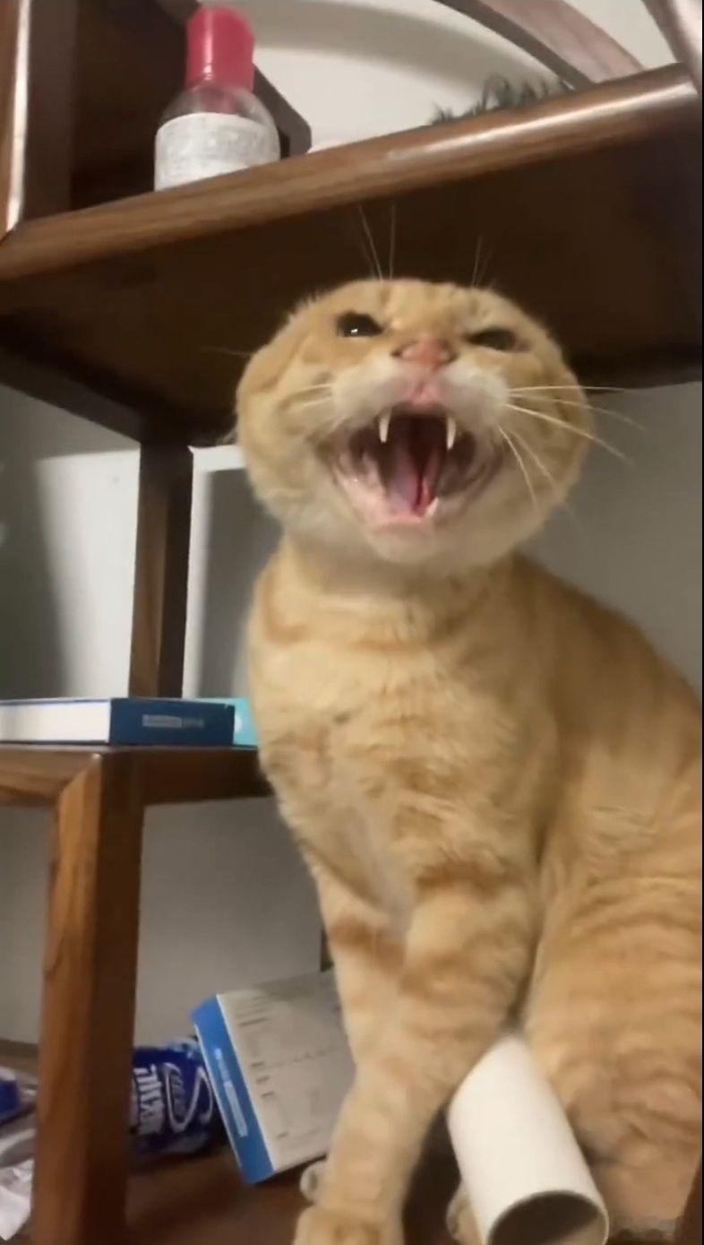 打到一辆动能回收拉满的电车，坐了10分钟就想吐