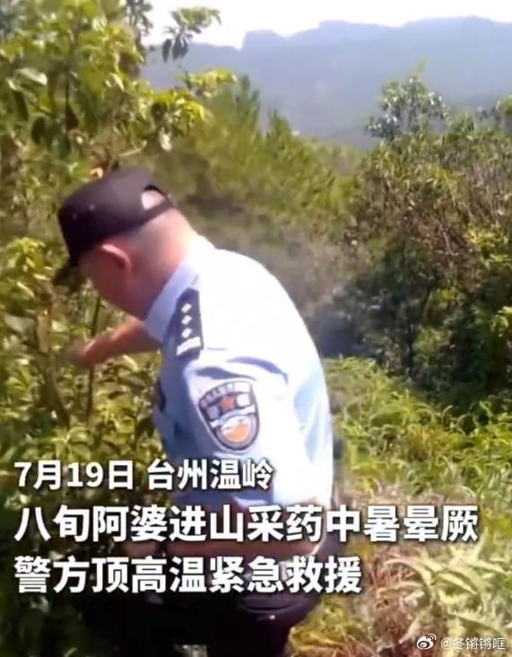 台州深山与酷暑赛跑的生命救援台州民警深山营救失联老人盛夏山林酷热凶险，民警顶着高