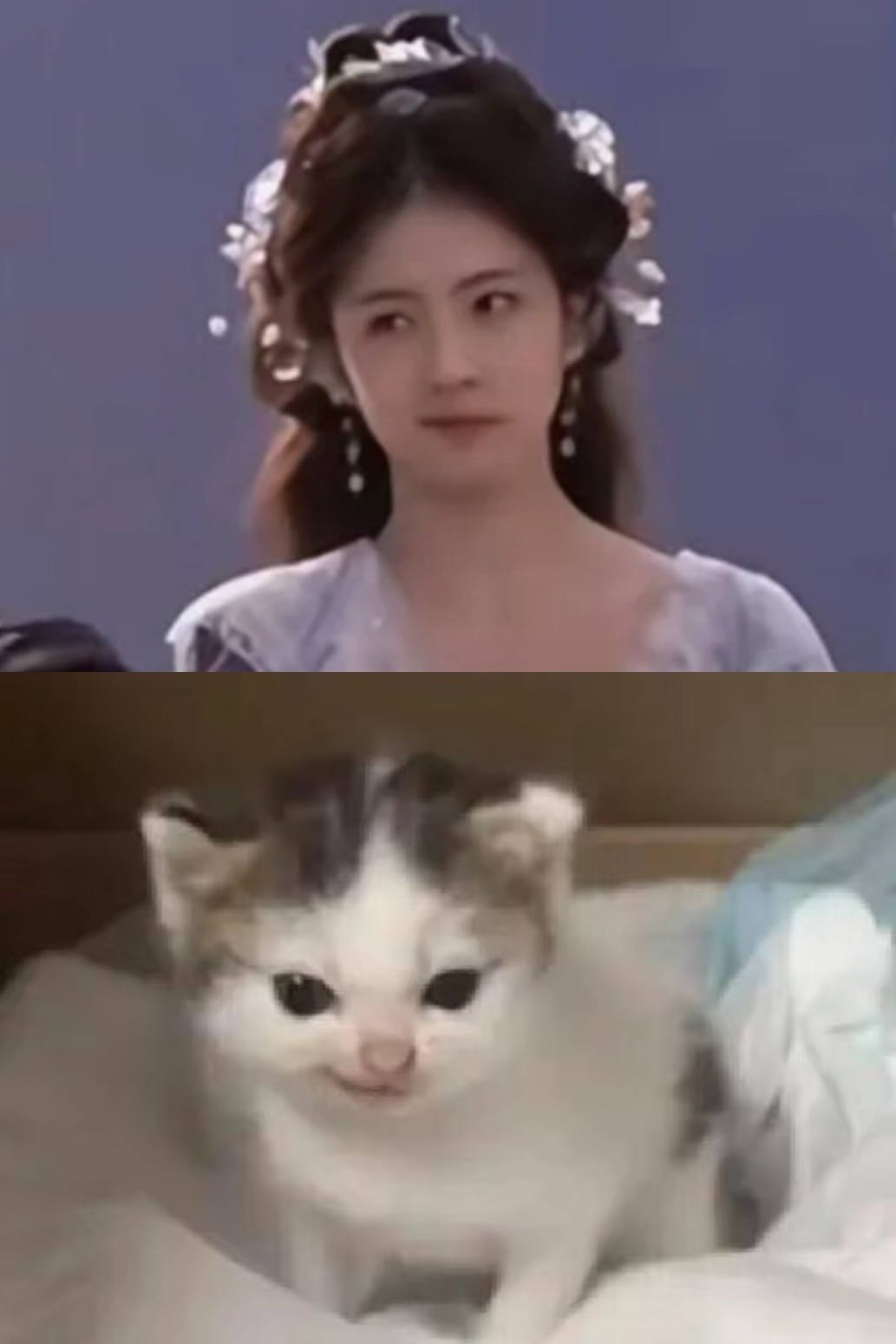 『邪恶小鼻嘎』惹到她？那很坏了。  白鹿白烁 🙂 