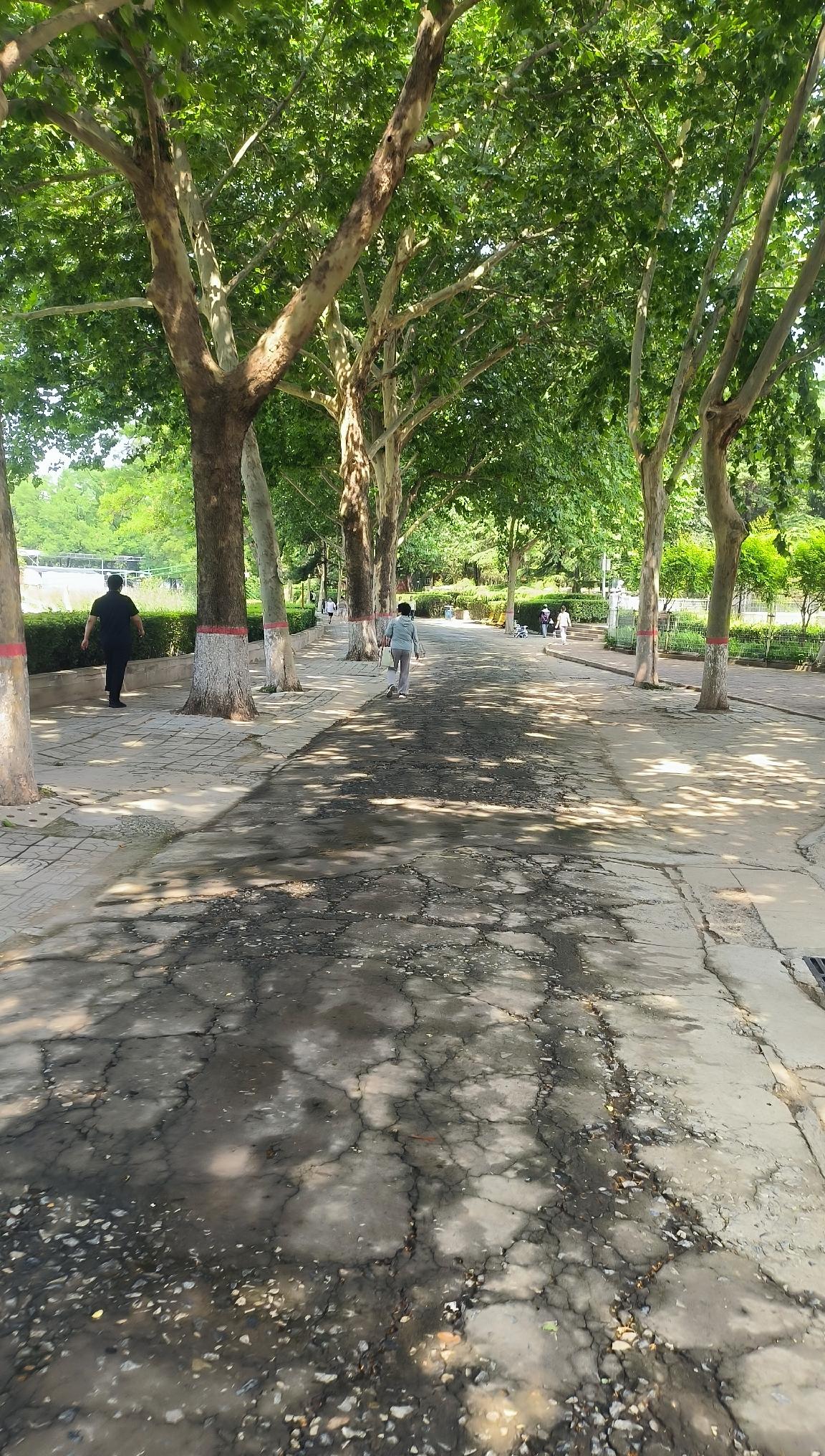 坐标保定
近日，在大街上碰到一位几年未见的同学，发现他变化很大，瘦骨嶙峋，面色发