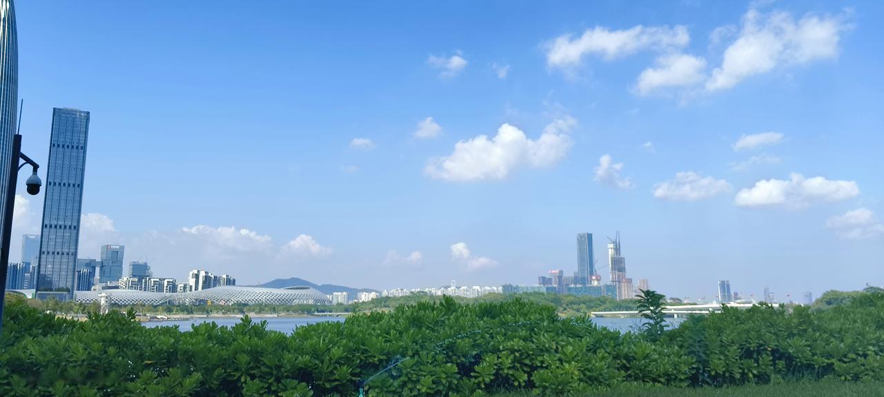 日历撕到最后几页，才惊觉2025就要翻篇了。这一年像被按下快进键，从年初的规划清