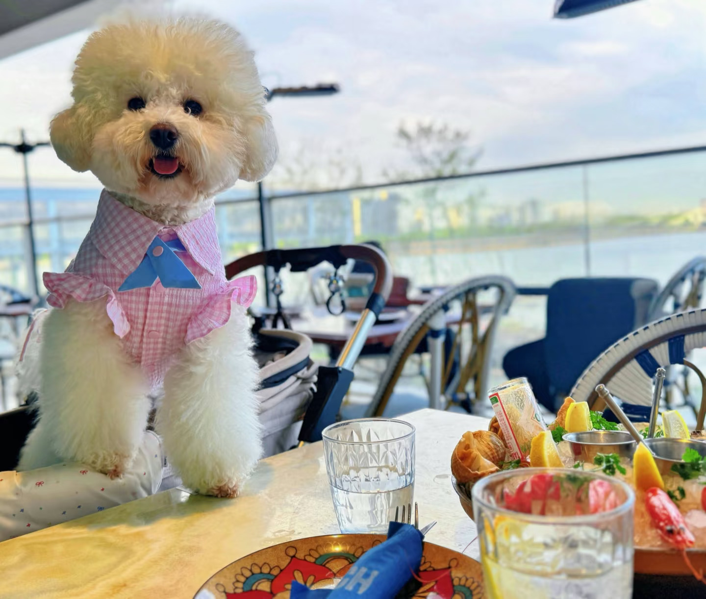 春天当然要出门玩儿啦！