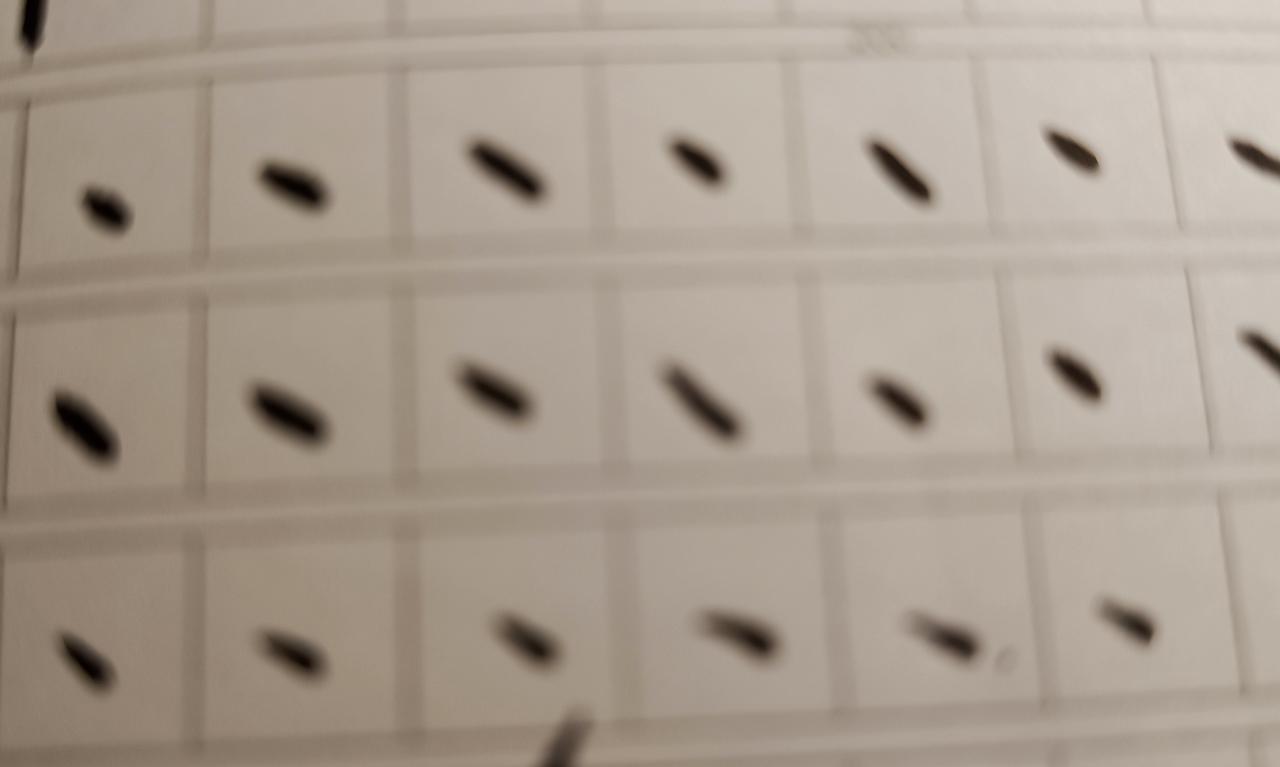 想写好字 必须从一点一横开始学
说的好听，真不好写，有顿笔 收笔 两头重，中间轻