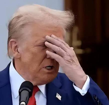 天不怕地不怕的美国总统，这回栽了！
 
治他的不是别人，竟是自己人！美联储主席鲍