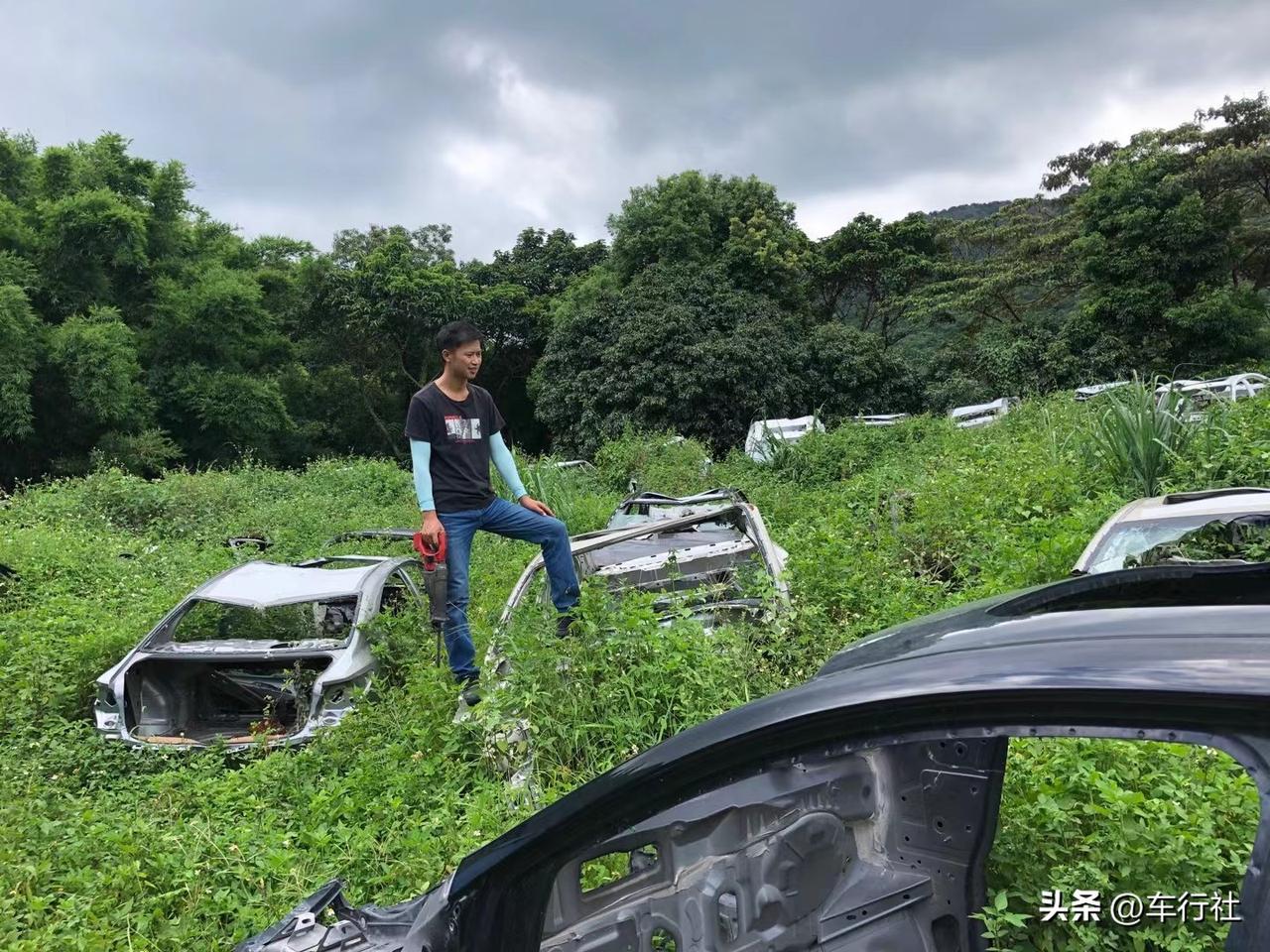过完端午
又要上班干活了
……