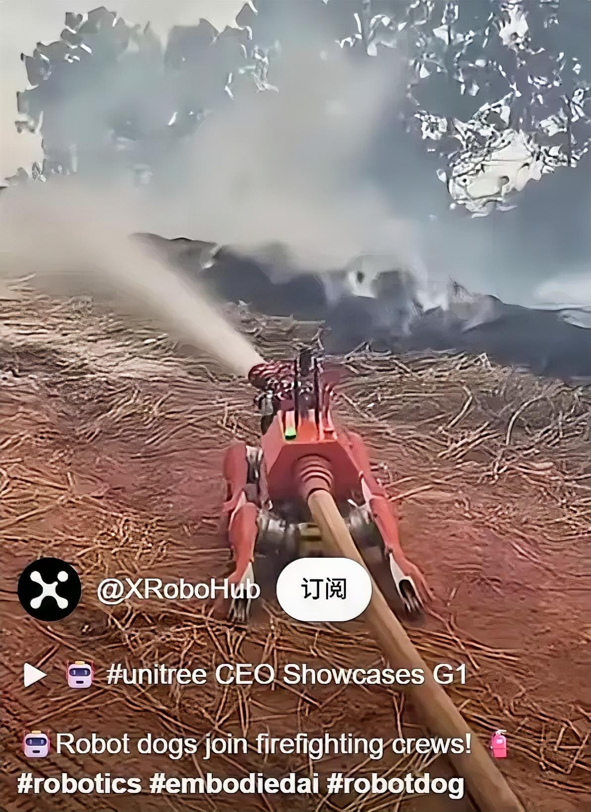 英国广播公司（BBC）：中国政府强迫机器人工作，但机器人也有权利。这是西方中心主