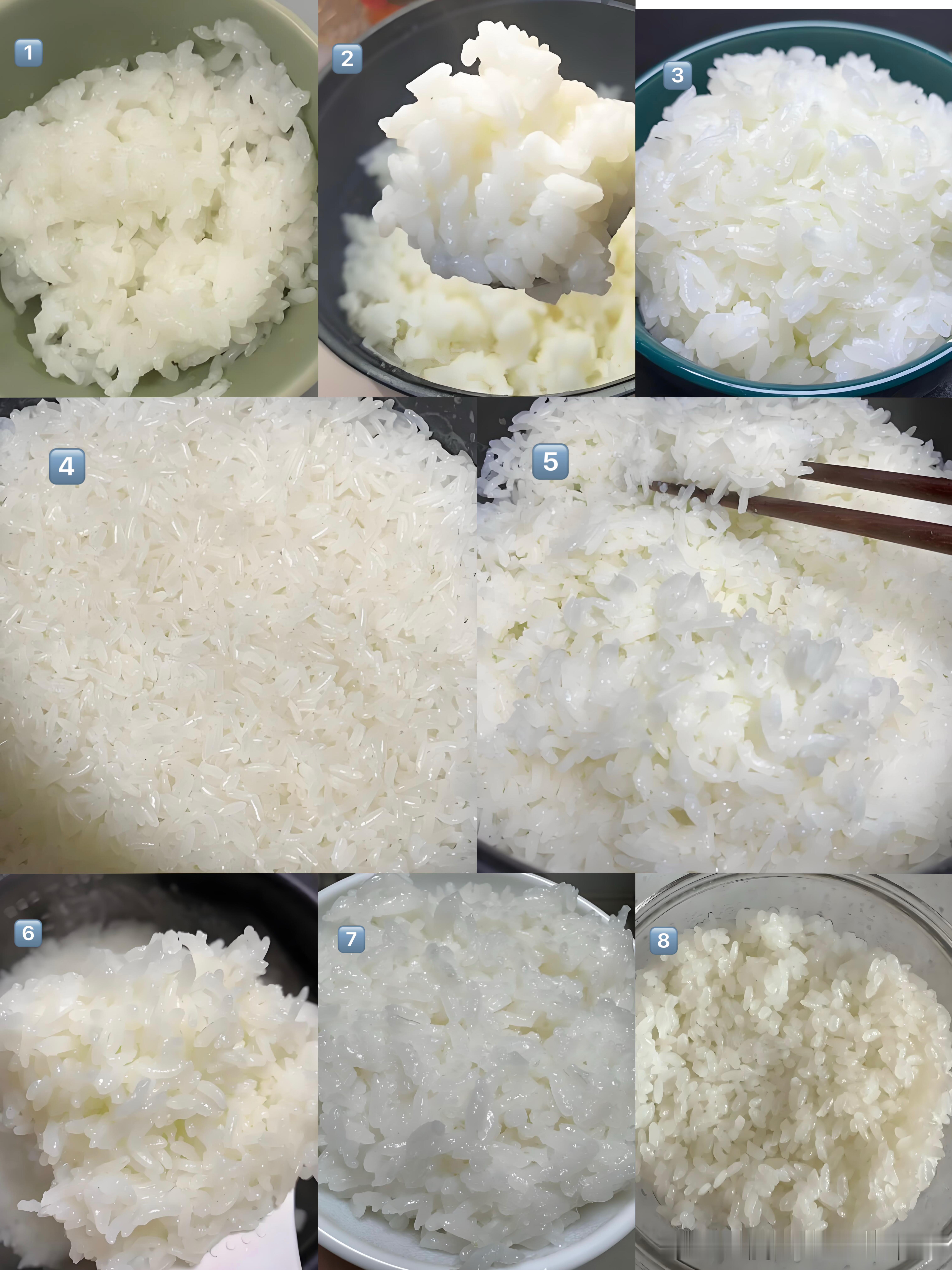 选出你最喜欢的米饭 