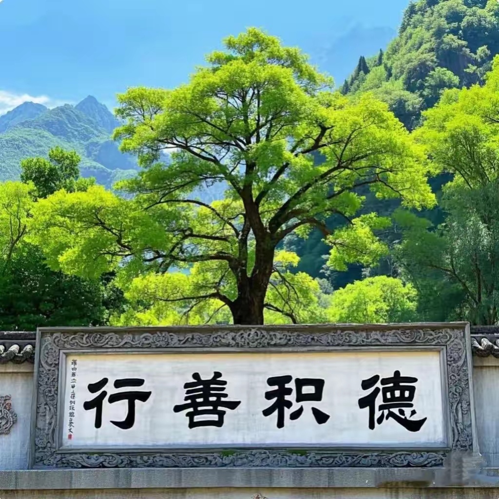 最积德的三件事，你越去做，老天越保佑你人为什么要积德行善，这是我听过最好的答案。