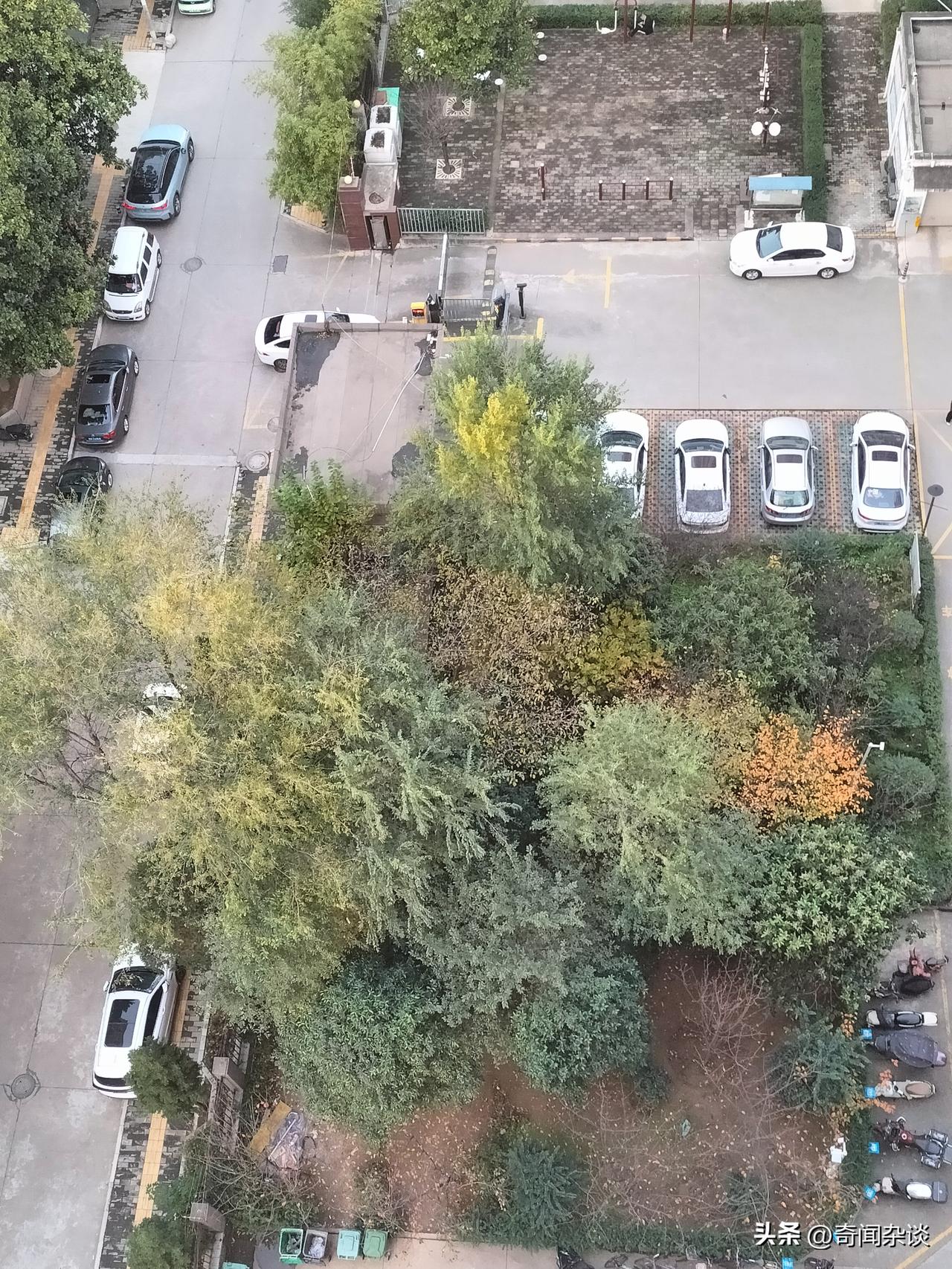 真的得碎碎念几句！这百年未有之大变局也太“刺激”了，每天都在见证反转，压根跟不上