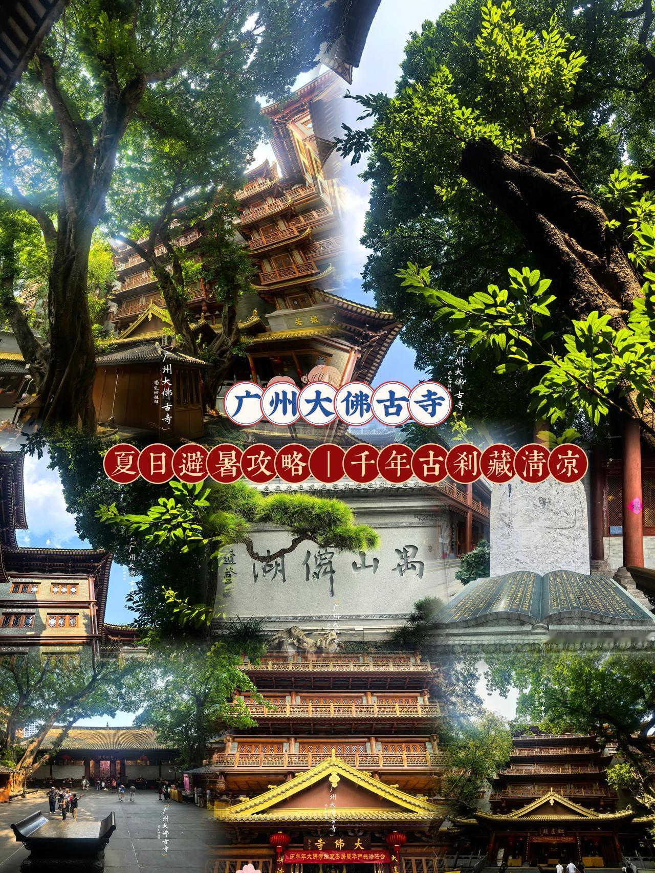 广州一到夏天就闷热难耐，35℃以上的高温让人烦躁不安。在广州北京路闹市中的大佛寺