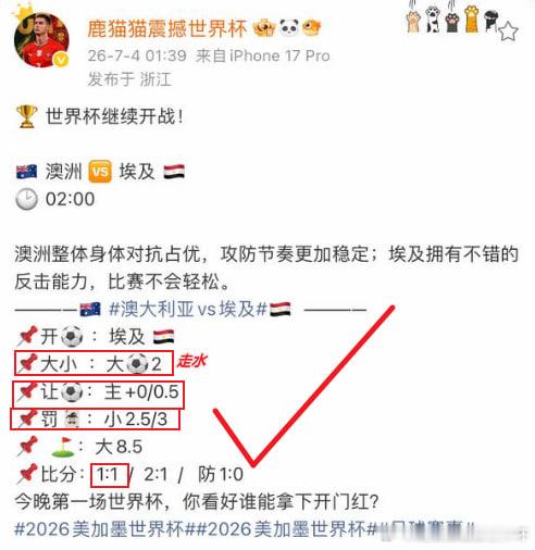 世界杯 1/16决赛，澳大利亚对阵埃及。上半场阿舒尔首开记录，下半场穆罕默德-哈
