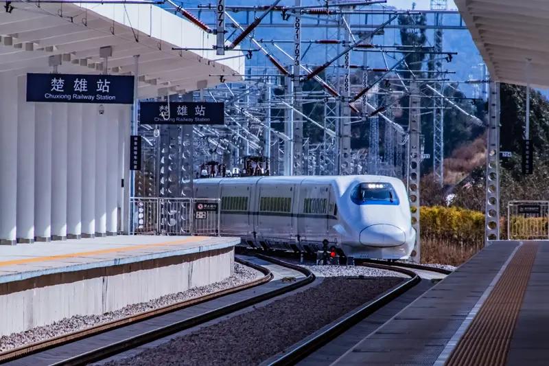 “VIP”待遇：列车长亲自带你穿越车厢去办理手续，感觉像犯了错的“重点护送对象”