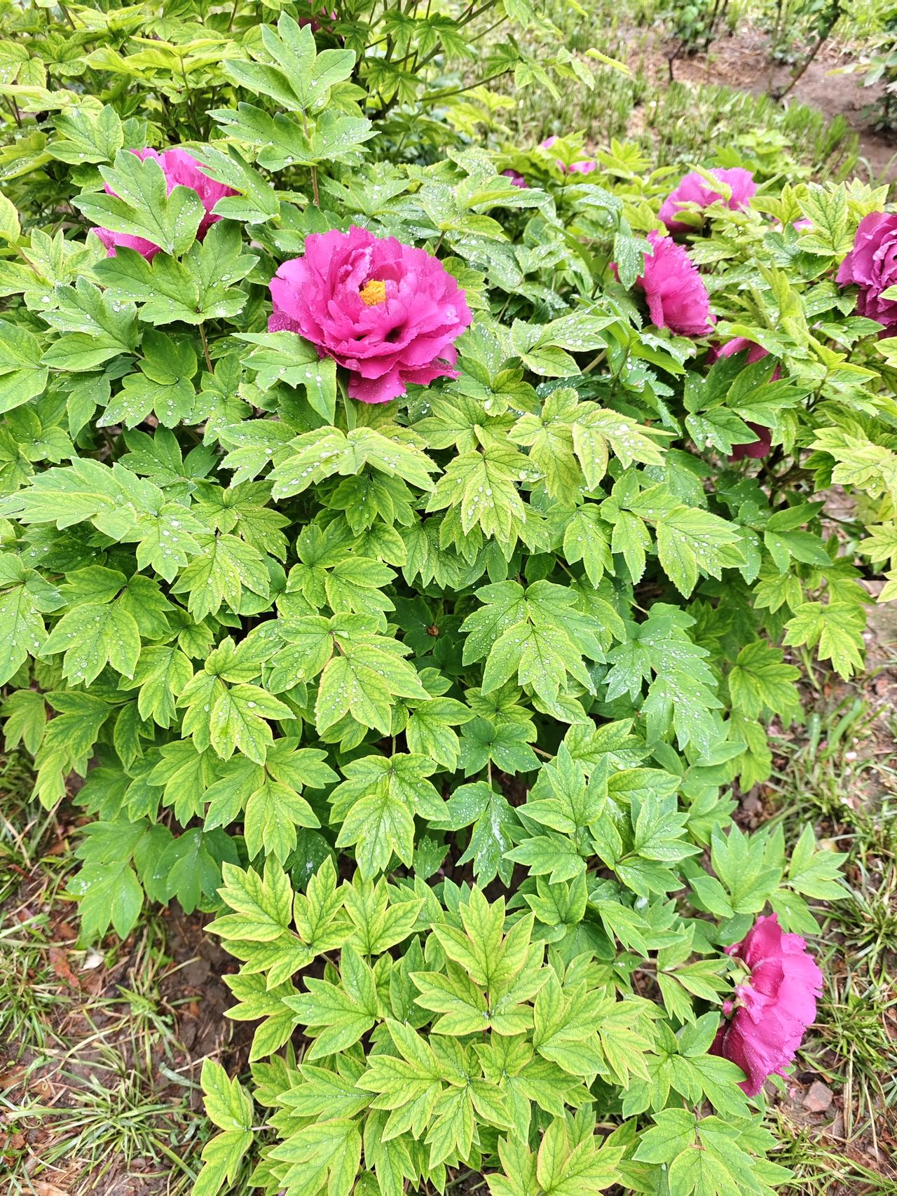 晨跑三公里，一百个俯卧撑，卷腹，哑铃，开合跳，正心正念，坚持做长期正确的事，平常