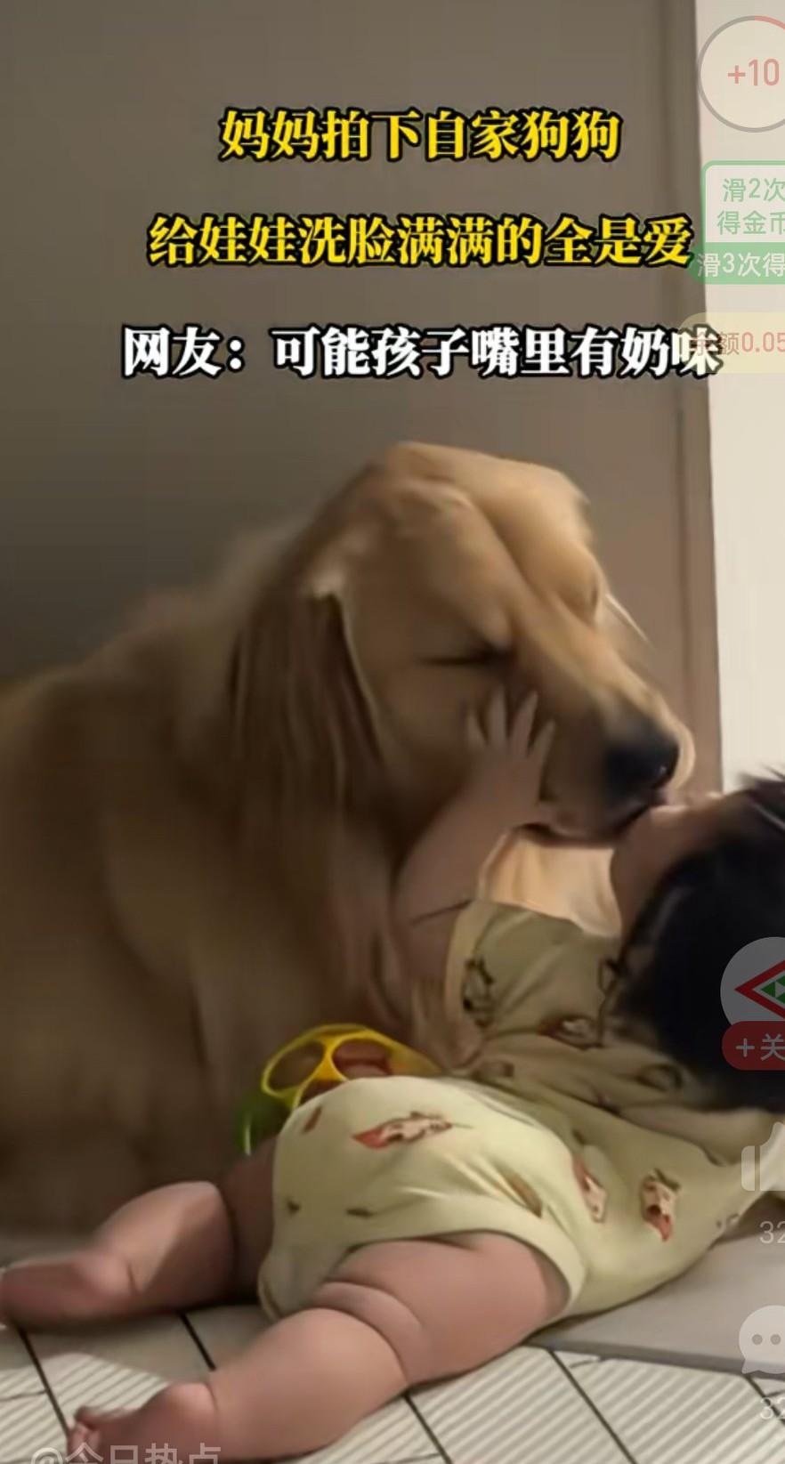 我也喜欢小动物，
但是只限于喜欢，
孩子和毛孩子，
我就会选择孩子。
所以不能理