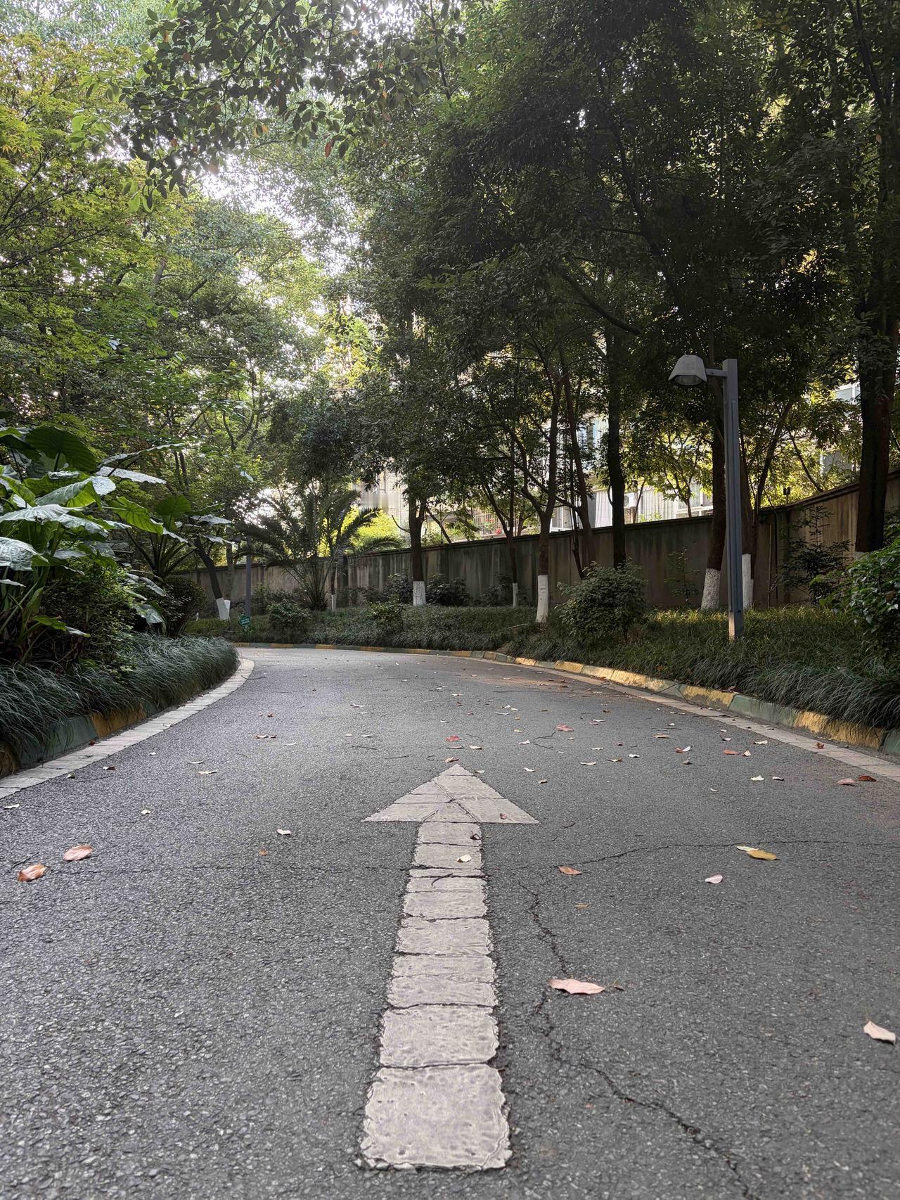 康复日记｜暖阳晨练，稳步进阶与适度自省

2026年04月25日 星期六 晴，暖