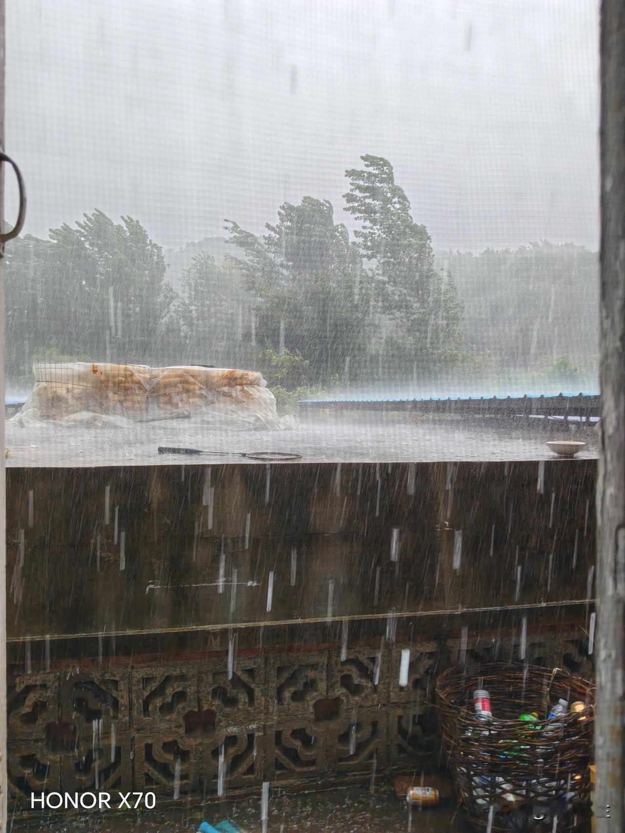下雨啥也不能干，就只是待着。带来的书翻了几页，也沉不下心来。

明天就要卖桃了，