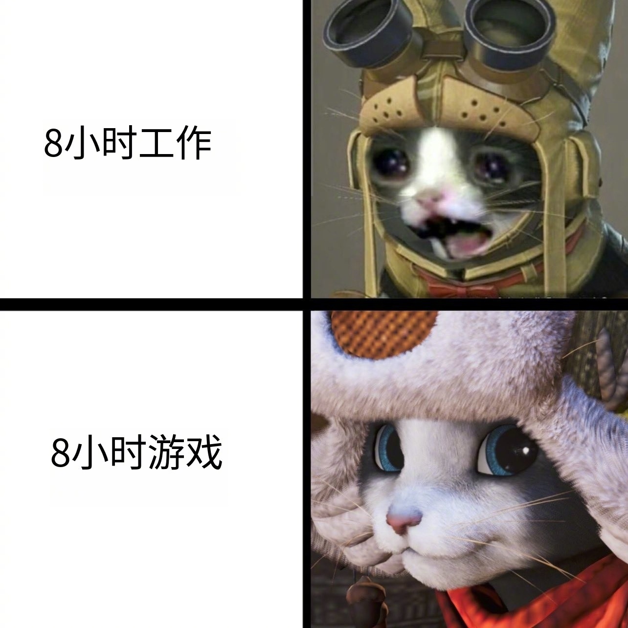 腰椎：所以有人为我发声吗[可爱]  