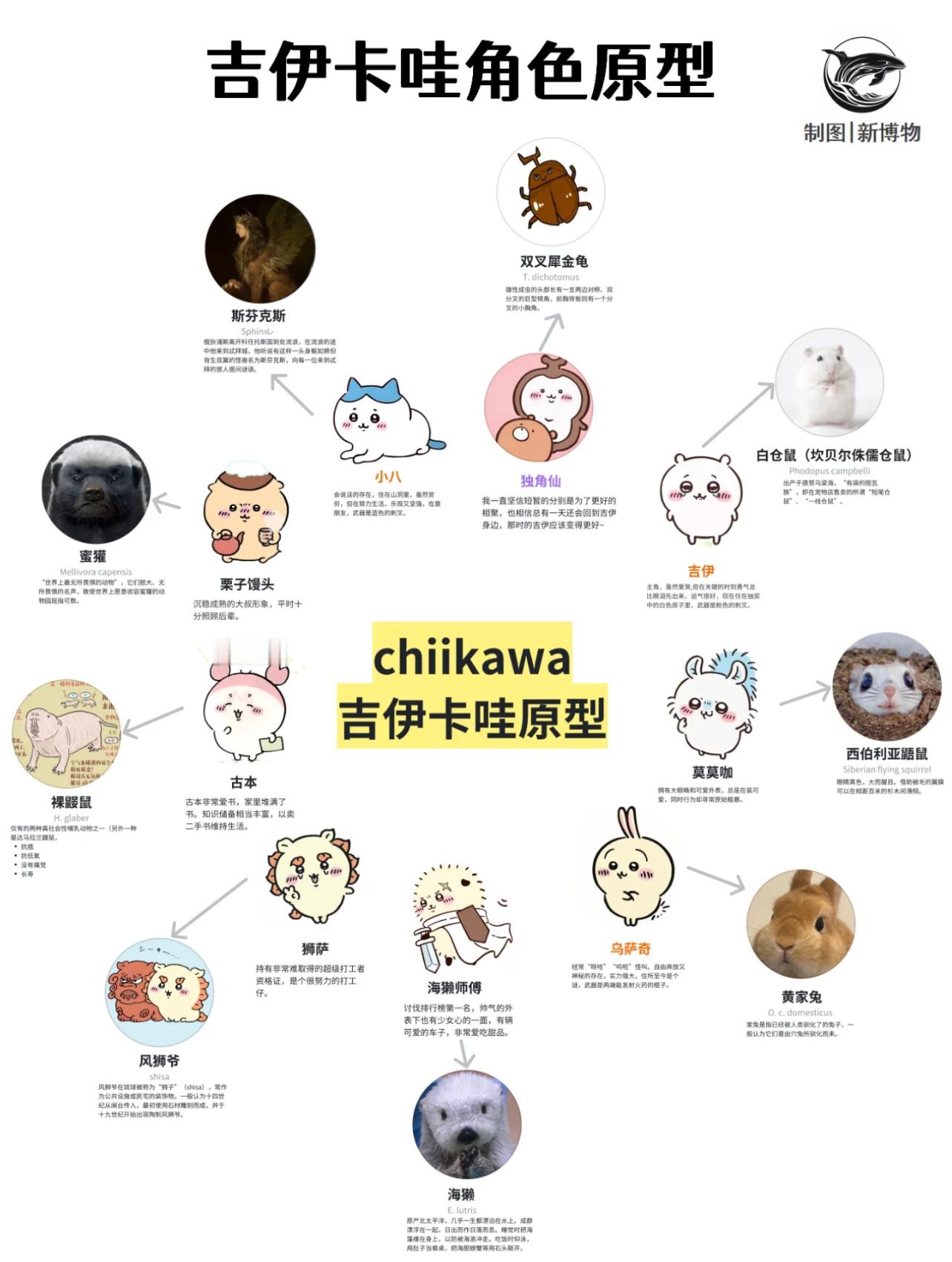 吉伊卡哇宝宝和他们的原型我们小八居然是斯芬克斯[干饭人]Chiikawa ​​​