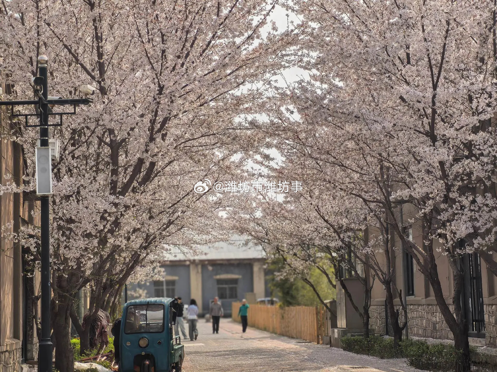 微博行摄  家有七郎要在1532文化园开拍了 潍坊