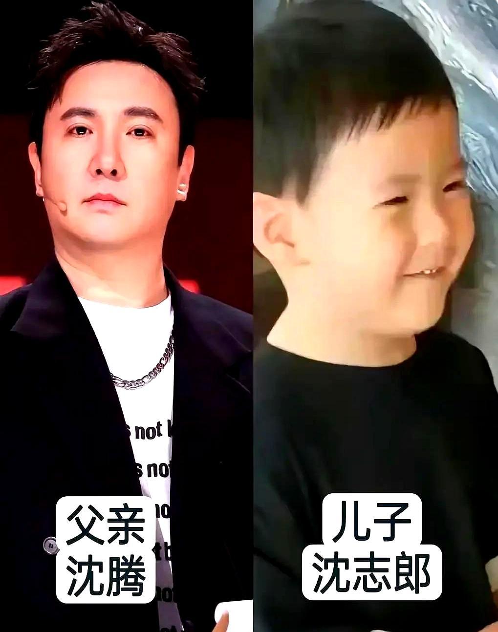 沈腾三岁的儿子拒绝碰钢琴，天天把麻将搓得哗哗响，死死攥着KTV麦克风不撒手。
 