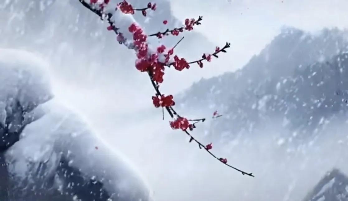 冬雪寒梅
傲视三九严冬，最衬寒雪芳红，
不与百花争艳，更见锃骨笑春。