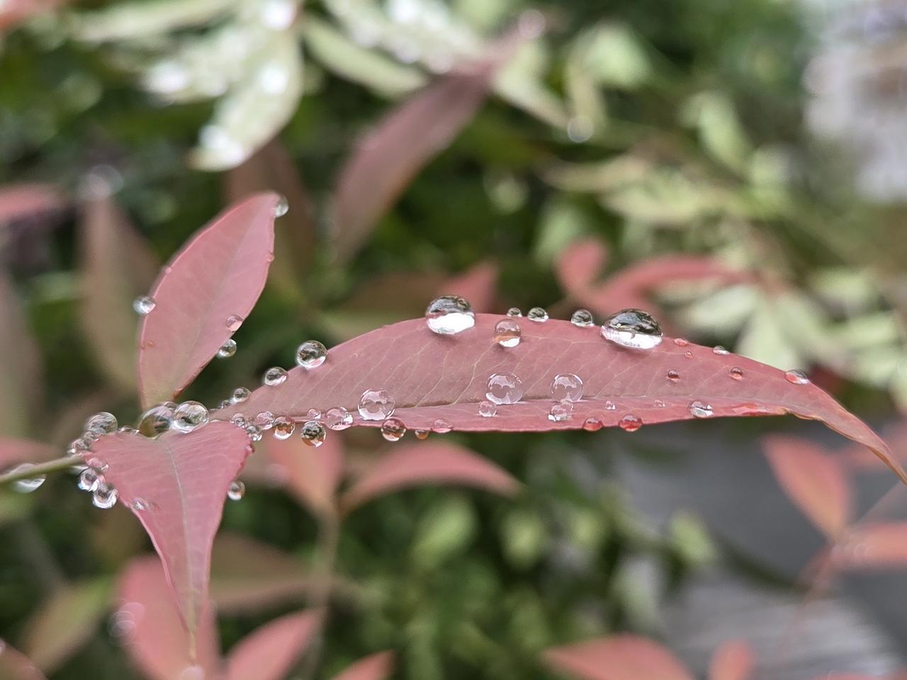 要说适合隐居的名山，我首推终南山。它位于陕西，横跨多地绵延200多里，是道教圣地