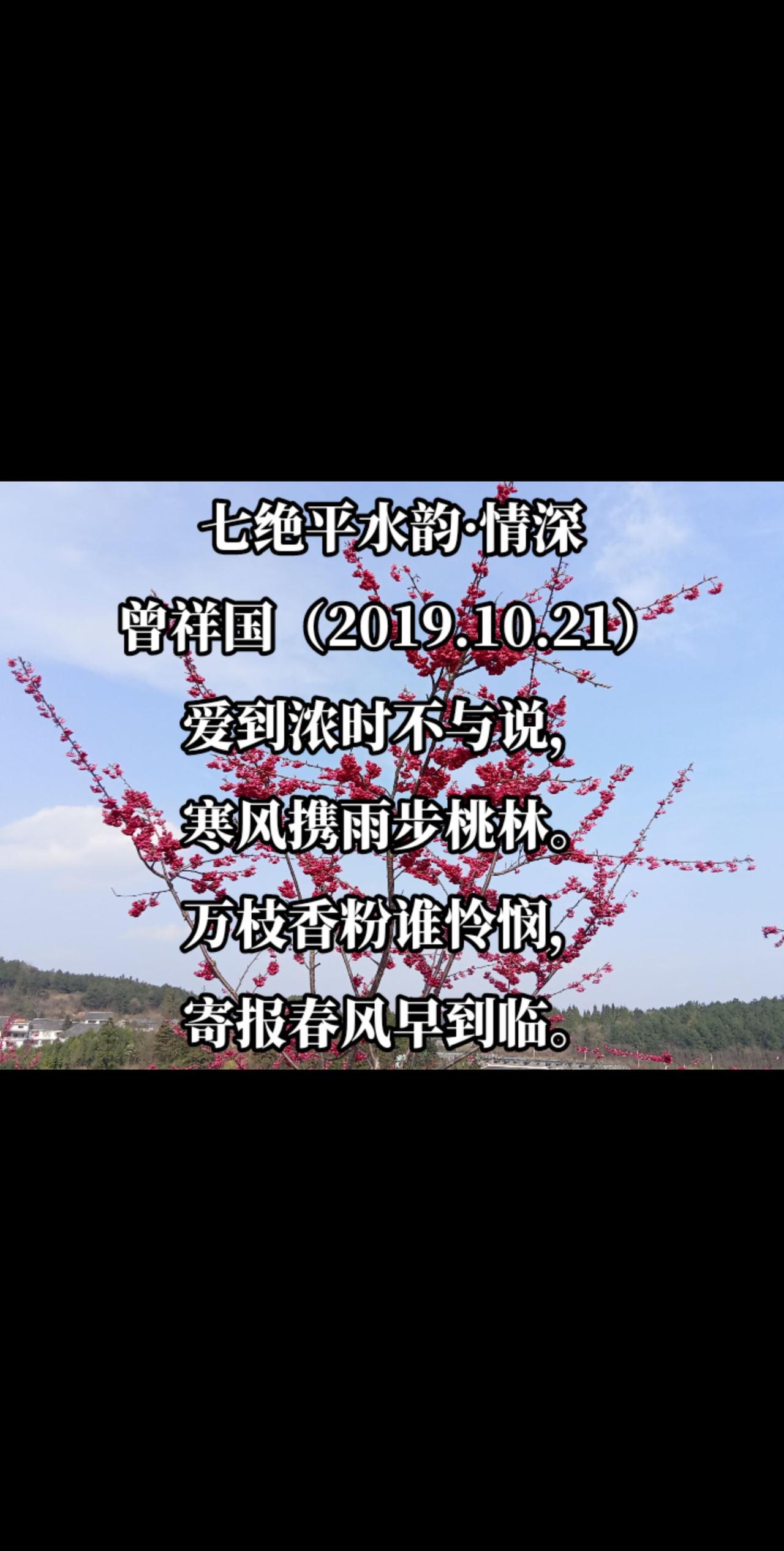 情深