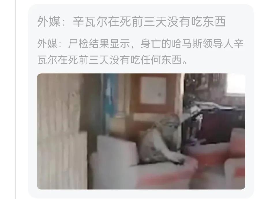 外媒报道，辛瓦尔死前三天没有进食。如此悲壮的事，居然还有人出来调侃，说他“之所以