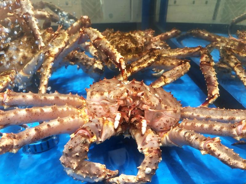 南京大学食堂推出999元帝王蟹这事可太火了！11月2日网友一晒出来就引发热议。涉